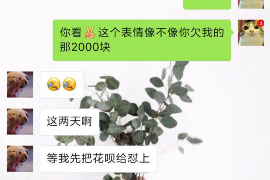 桐乡如果欠债的人消失了怎么查找，专业讨债公司的找人方法